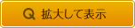 拡大して表示