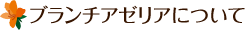 ブランチアゼリアについて